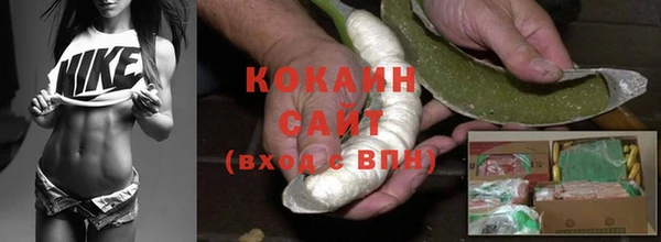 PSILOCYBIN Абаза